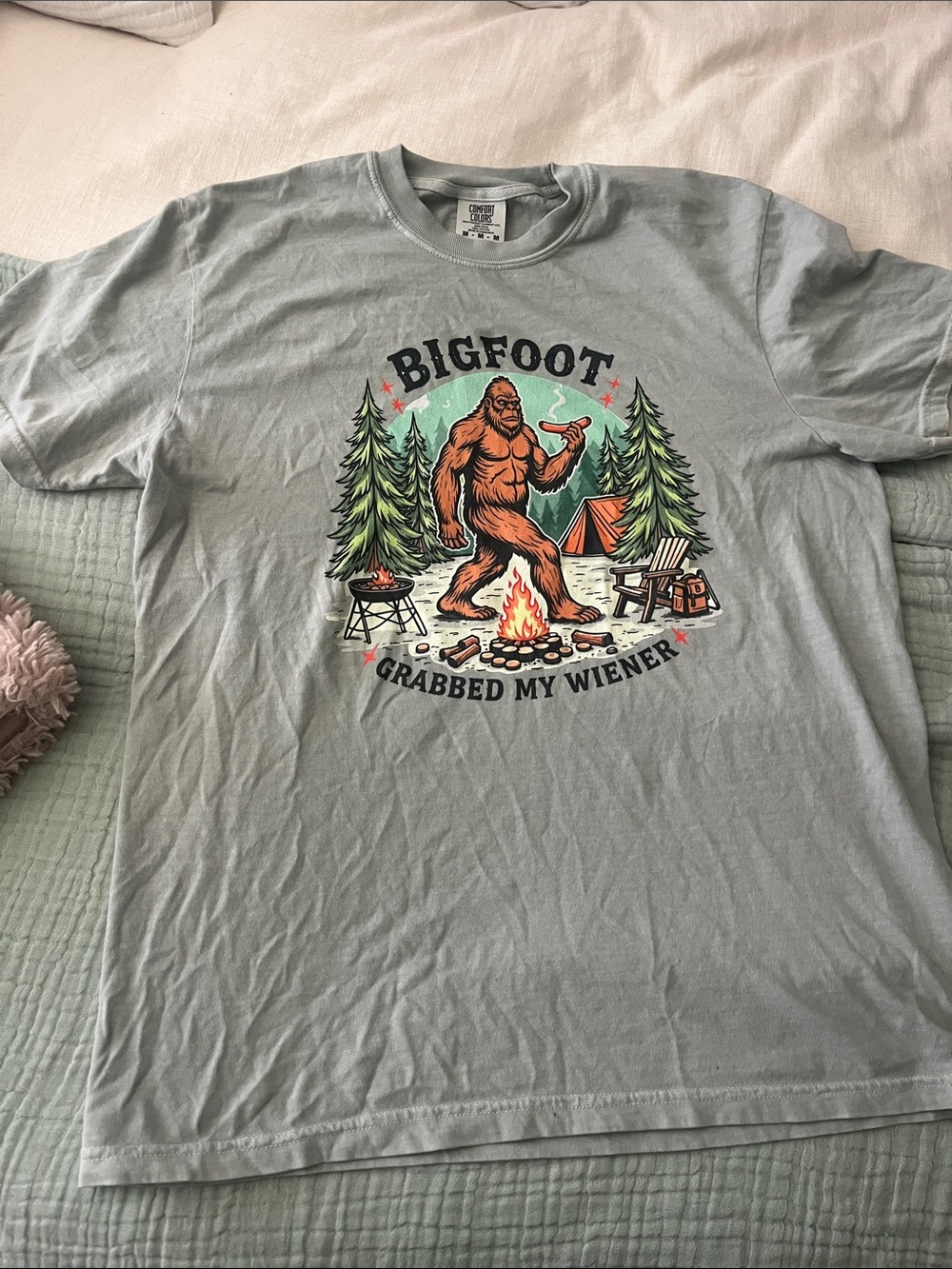 Comfort Colors Light Sage Crewneck Tee
